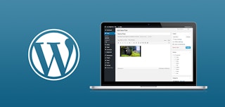 How to Publish Brightcove Video in WordPress