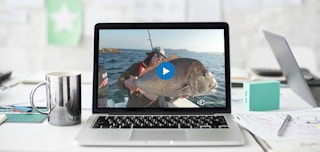 What A Catch! Australian Streaming Service FishFlicks Increases Video Viewing Time By 150%