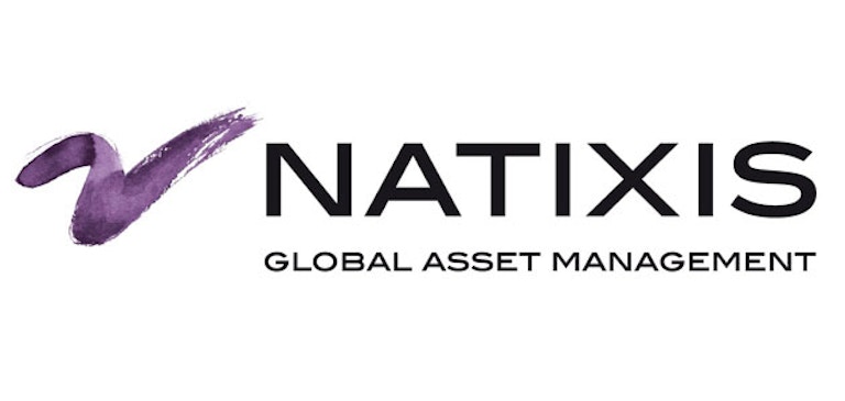 Case Study: Natixis Global Asset Management Promotes Educational Videos with Brightcove Video Cloud